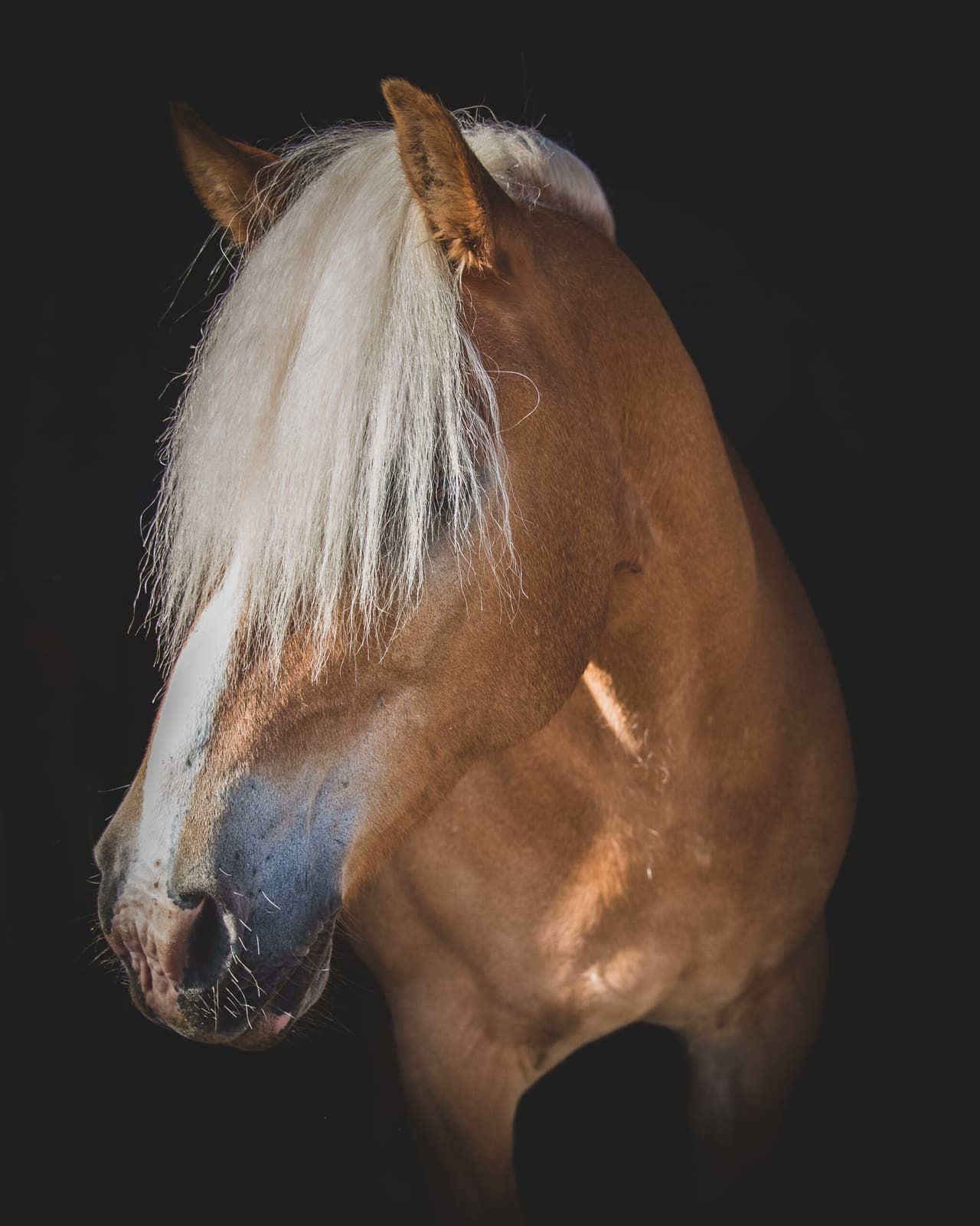 Rachel Foster Photography