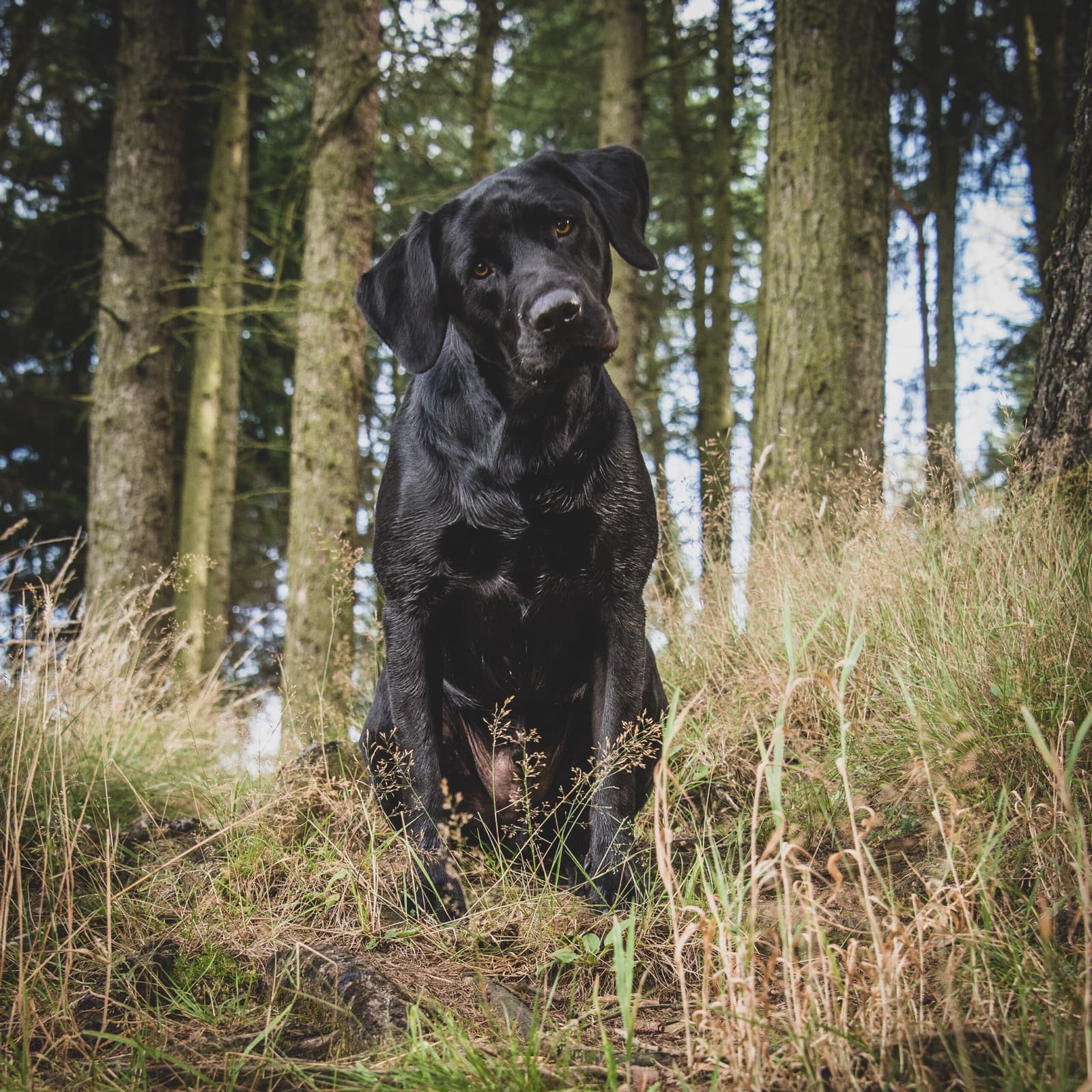 Rachel Foster Photography