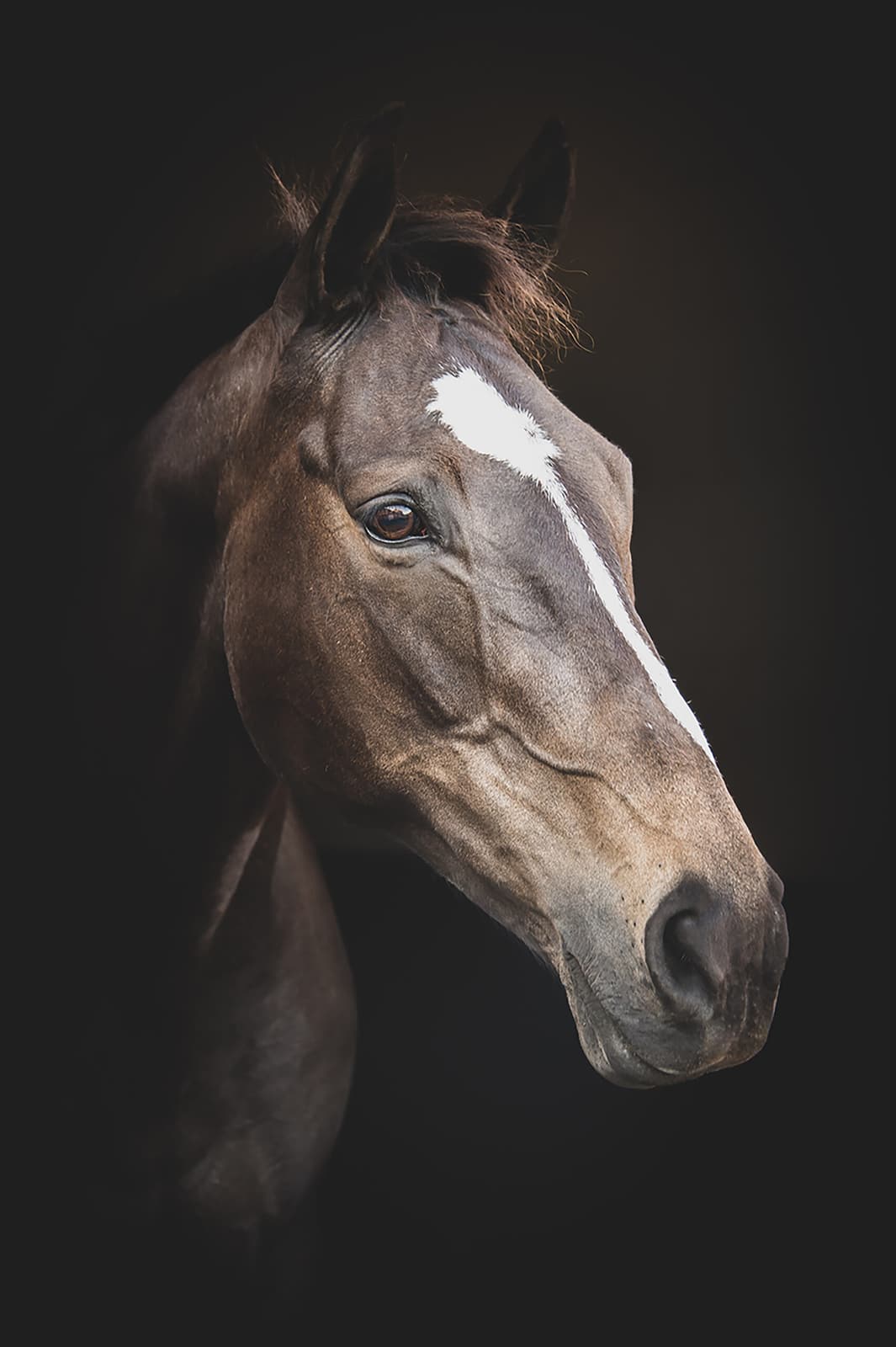 Rachel Foster Photography