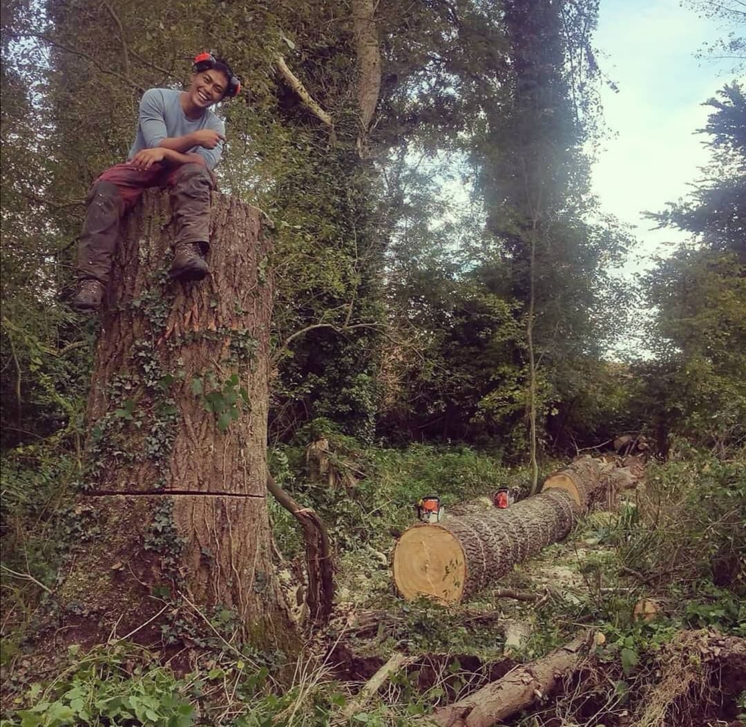 Grantland Timber