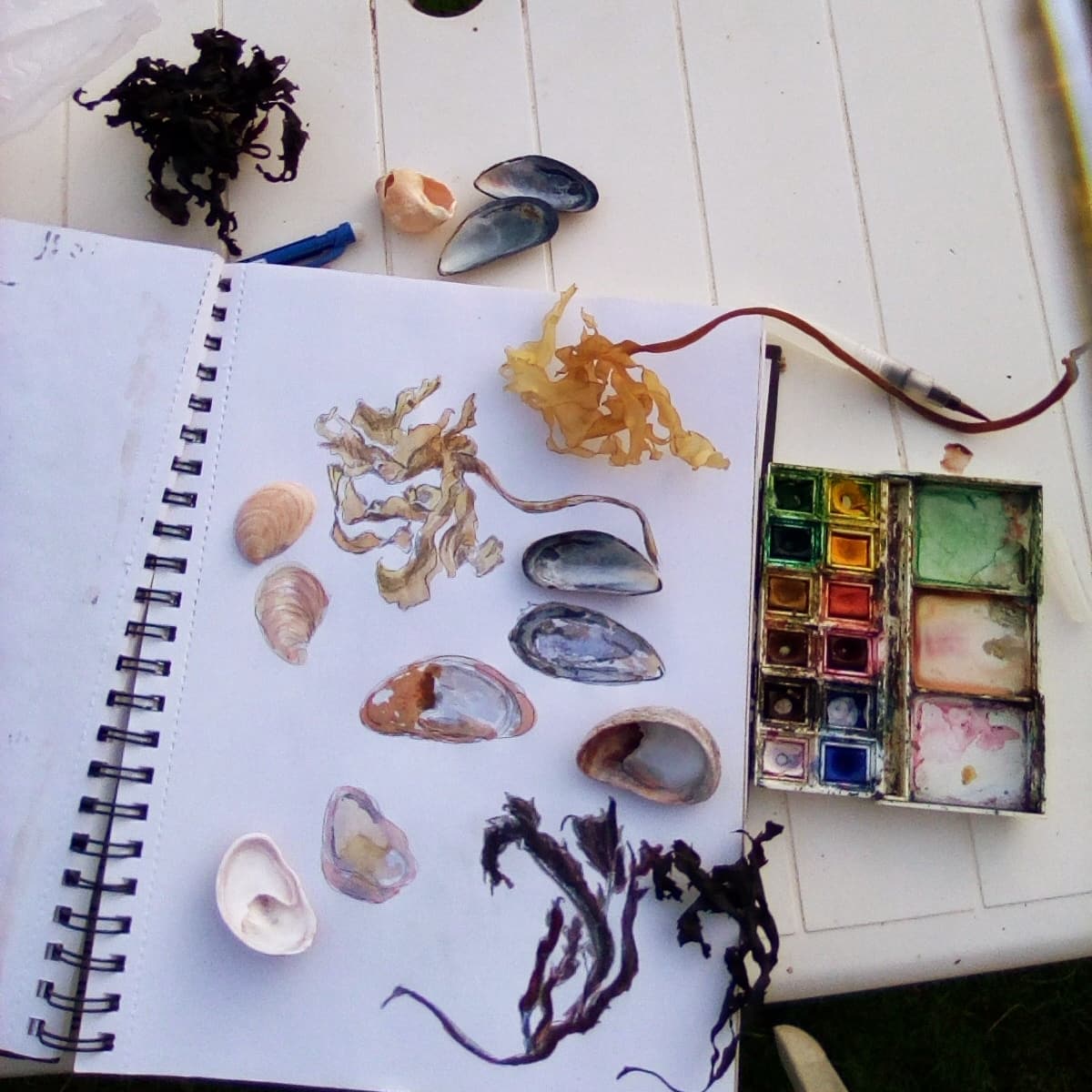 Elaine Collins Designs