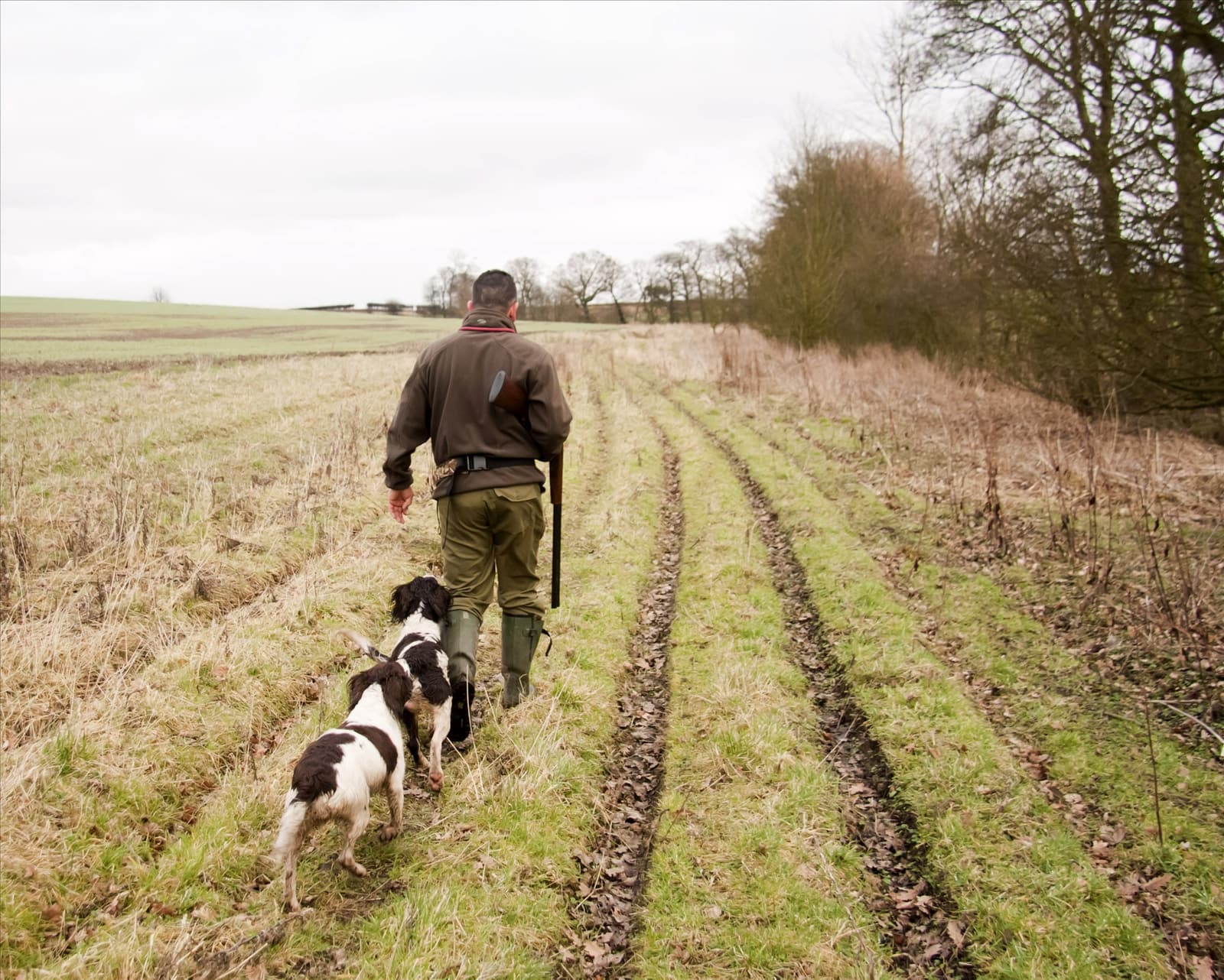 All Breeds: Obedience, Training & Behavioral Problems Rectified